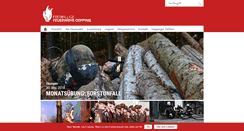 Desktop Screenshot of ff-oepping.at